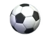 Esporte - Cá cược thể thao